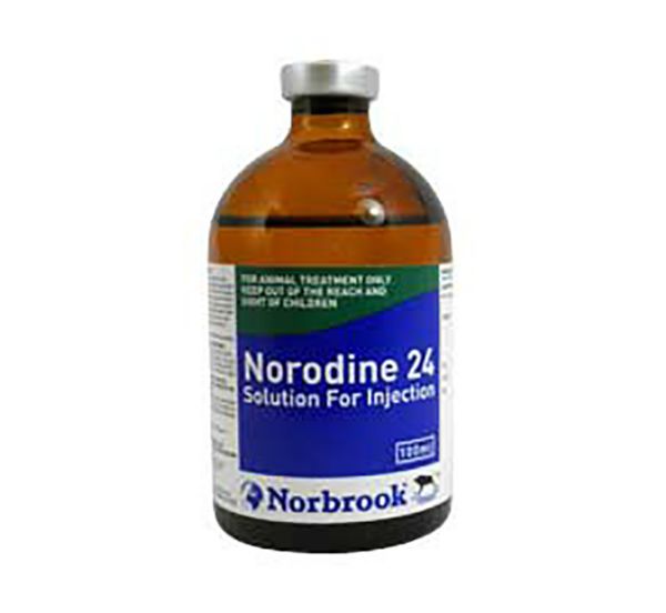 Picture of Norodine 24% - 100ml