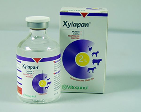 Picture of Xylapan - 50ml