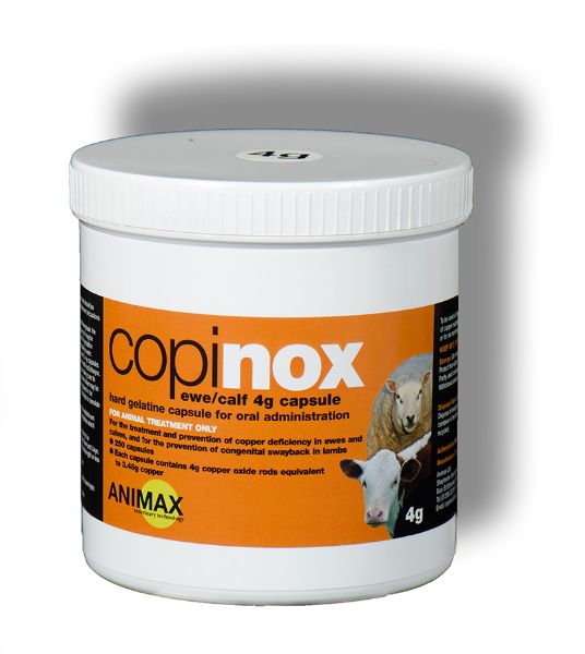 Picture of Animax Copinox - 4g x250 - Sheep/Calf