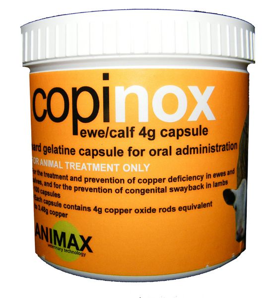 Picture of Animax Copinox - 4g x100 - Sheep/Calf