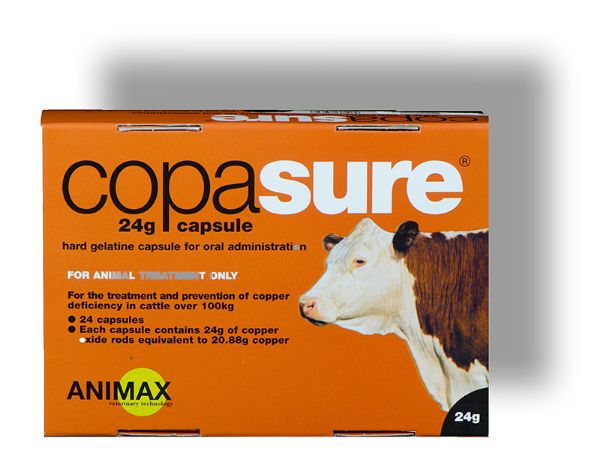Picture of Animax Copasure - 24g x24 - Cattle - UK