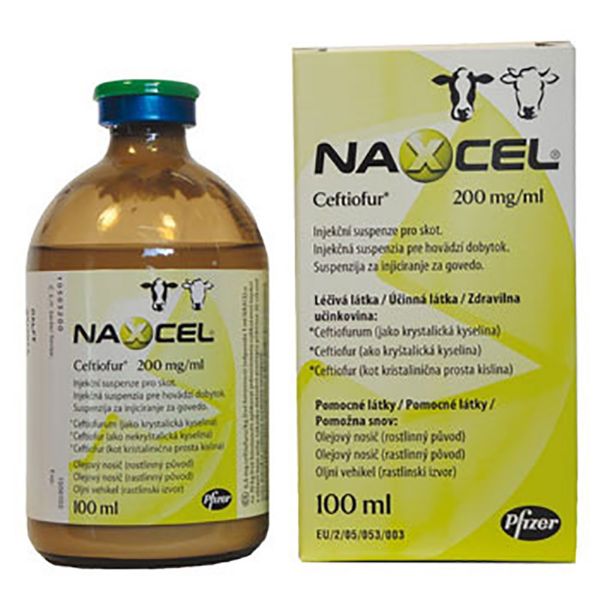 Picture of Naxcel - 100ml - Cattle