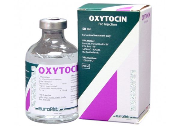 Picture of Oxytocin (Tad) Animedica - 50ml