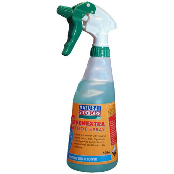 Picture of Clovextra Foot Spray  - 600ml