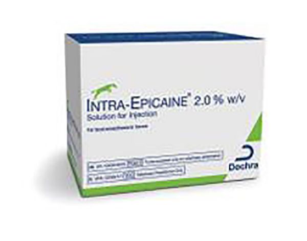 Picture of Intra Epicaine - 10ml - 6 pack