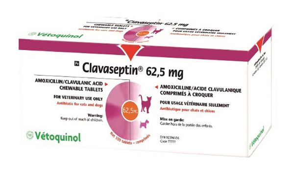 Picture of Clavaseptin - 62.5mg - 100 pack