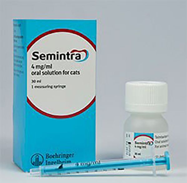 Picture of Semintra - 30ml