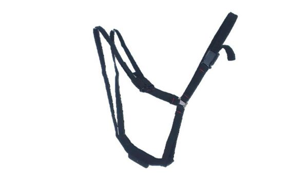 Picture of Super Economy Leather Ram Harness