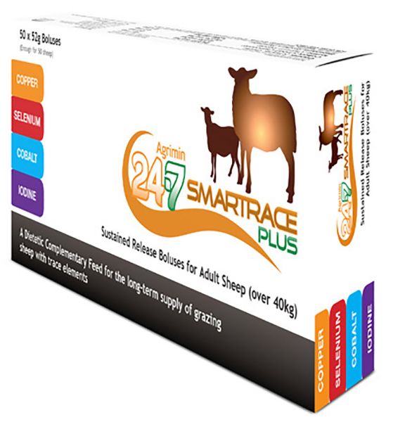 Picture of Agrimin 24-7 Smartrace Plus Adult Sheep - 52g x20