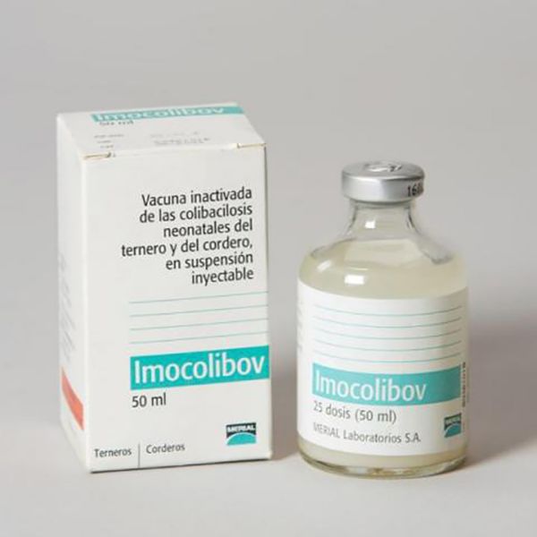 Picture of Imocolibov - 50ml