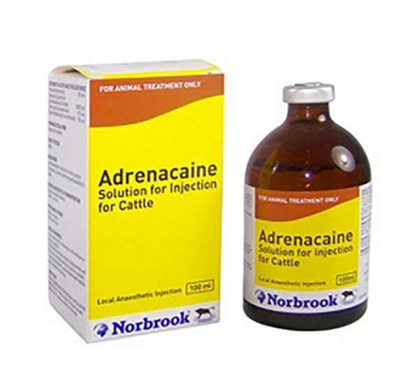 Picture of Adrenacaine - 100ml