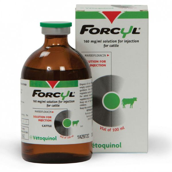 Picture of Forcyl Cattle - 100ml