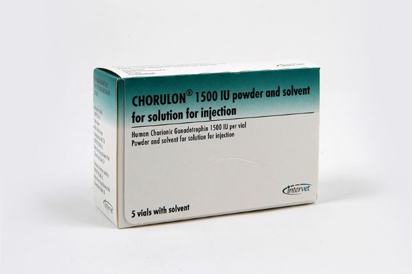 Picture of Chorulon - 25ml