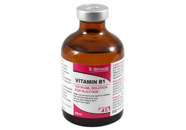 Picture of Vitamin B1 - 50ml