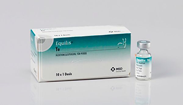 Picture of Equilis Te - 1ml x10