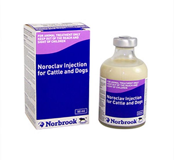 Picture of Noroclav - 50ml