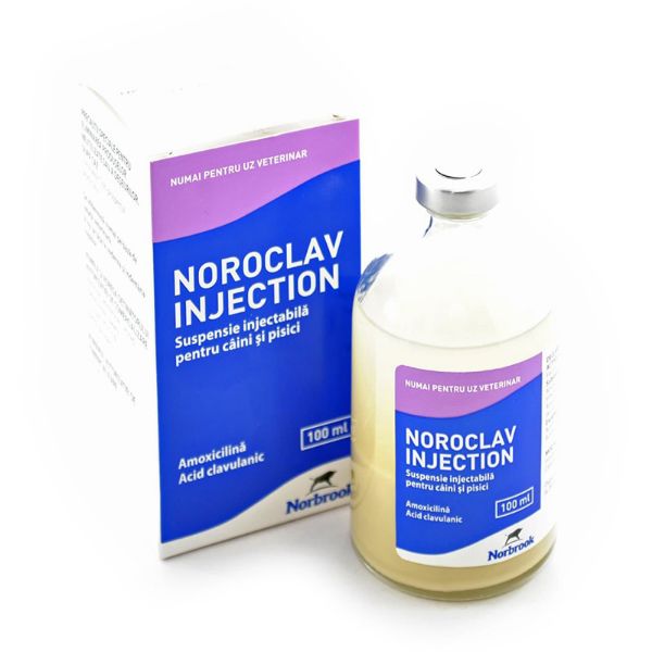 Picture of Noroclav - 100ml
