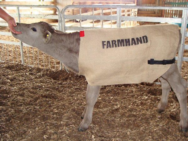 Picture of Farmhand Calf Jute Jacket