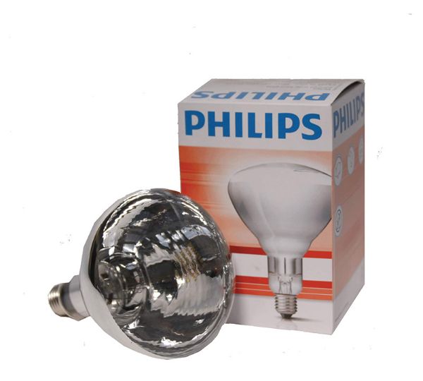 Picture of Philips Heatlamp Bulb - 150w - Clear