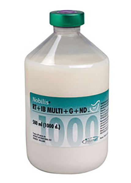 Picture of Nobilis Rt+Ibmulti+G+Nd - 1000 Dose