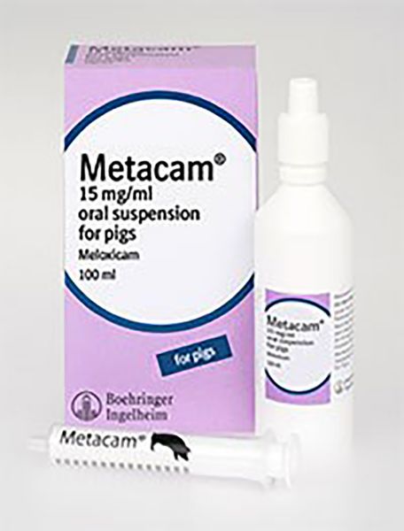 Picture of Metacam Oral Pig - 100ml - 15mg/ml