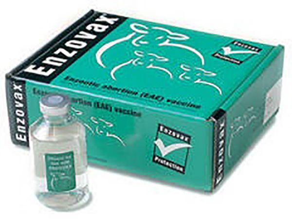 Picture of Enzovax - 20ml