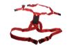 Picture of Matingmark Deluxe Ram Harness