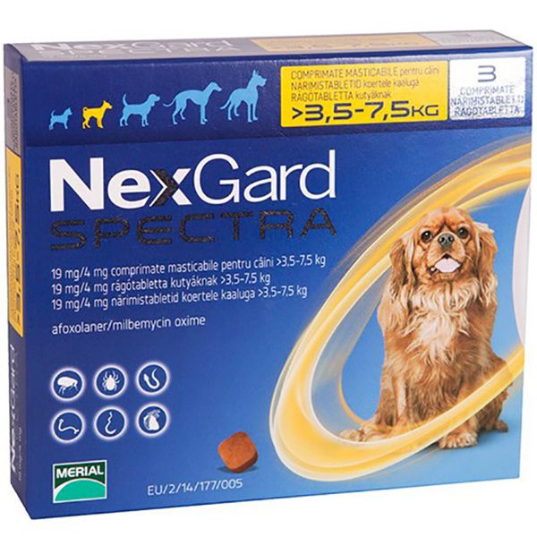 Picture of NexGard Spectra - Small 3.5-7.5kg - 3 pack