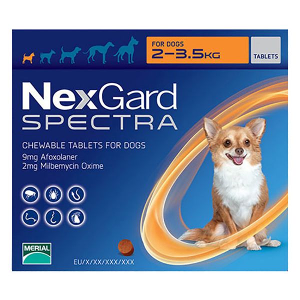 Picture of NexGard Spectra - X-Small 2-3.5kg - 3 pack
