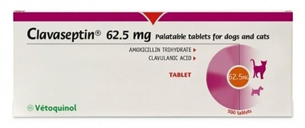 Picture of Clavaseptin - 62.5mg - 500 pack
