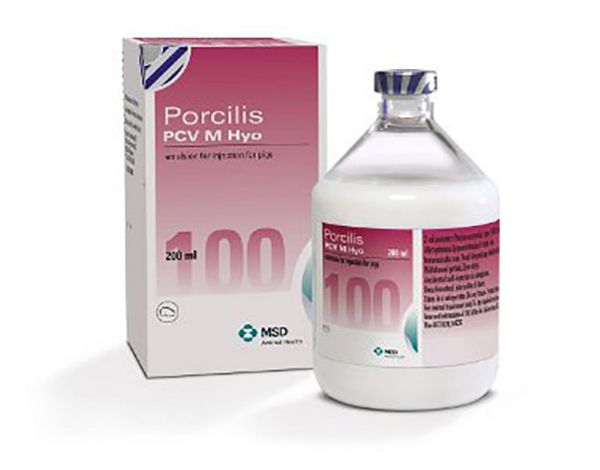 Picture of Porcilis PCV M Hyo - 200ml