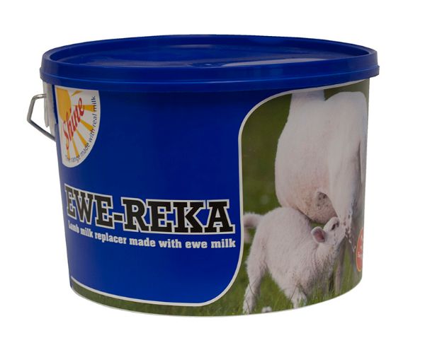 Picture of Ewe Reka - 4.5kg