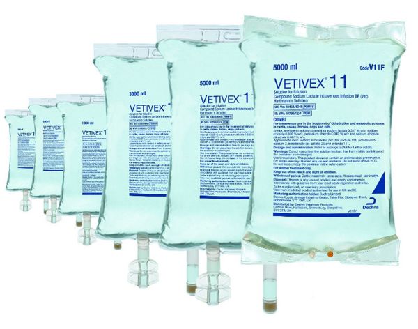 Picture of Vetivex11 - 250ml x20