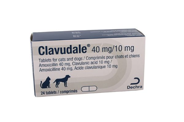 Picture of Clavudale - 40mg/10mg - 24 pack