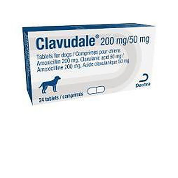 Picture of Clavudale - 200mg/50mg - 24 pack