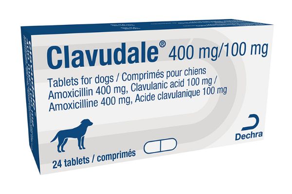Picture of Clavudale - 400mg/100mg - 24 pack