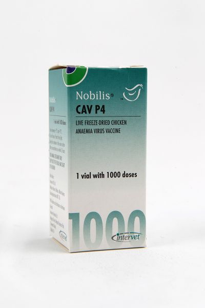 Picture of Nobilis Cav P4 - 1000 Dose