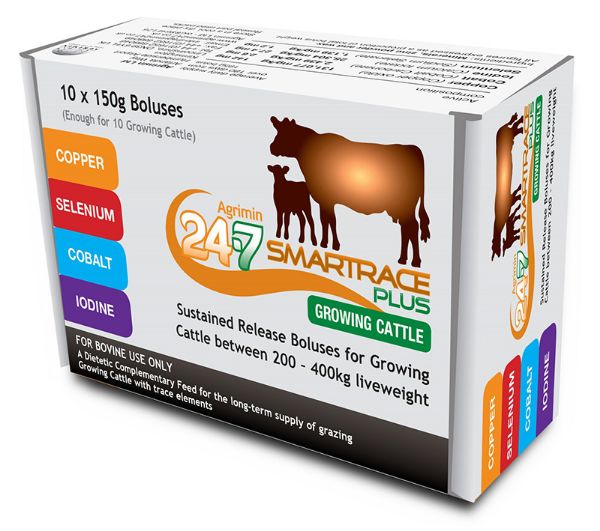 Picture of Agrimin 24-7 Smartrace Plus Growing Cattle - 150g x10