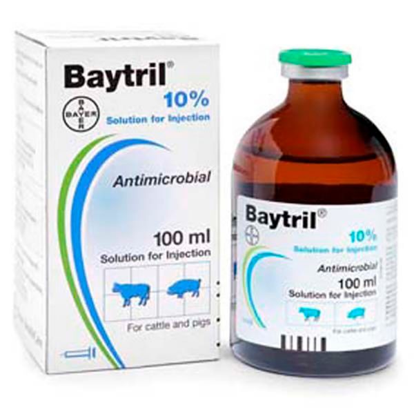 Picture of Baytril 100mg - 100ml