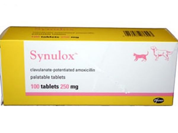 Picture of Synulox Tablets - 250mg - 100 pack