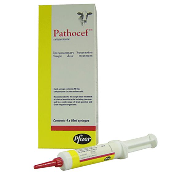 Picture of Pathocef - 4