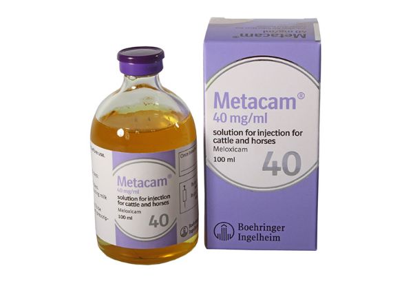 Picture of Metacam Injection - 100ml - 40mg/ml