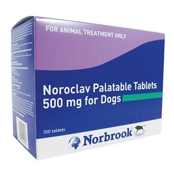 Picture of Noroclav Tablets - 500mg - 100 pack