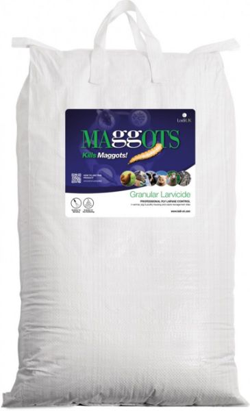 Picture of Maggots - 20kg