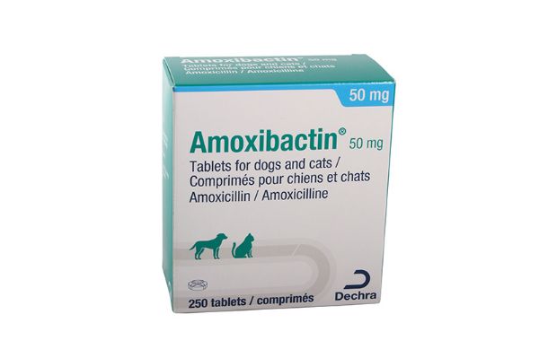Picture of Amoxibactin - 50mg - 250 pack
