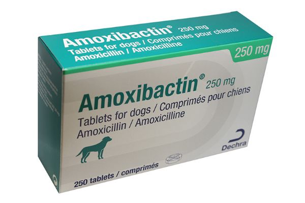 Picture of Amoxibactin - 250mg - 251 pack