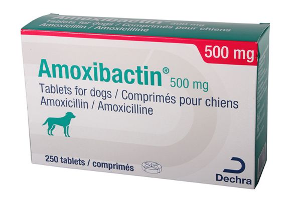 Picture of Amoxibactin - 500mg - 252 pack