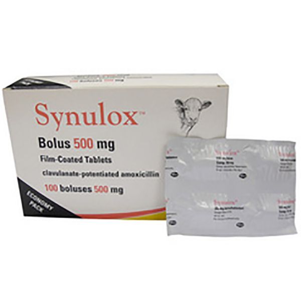 Picture of Synulox Bolus - 500mg - 100 pack