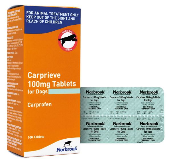 Picture of Carprieve Tablets - 100mg - 100 pack