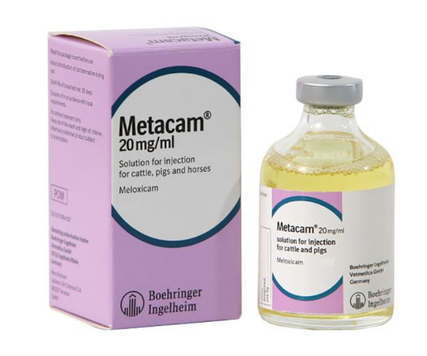 Picture of Metacam Injection - 6x250ml - 20mg/ml
